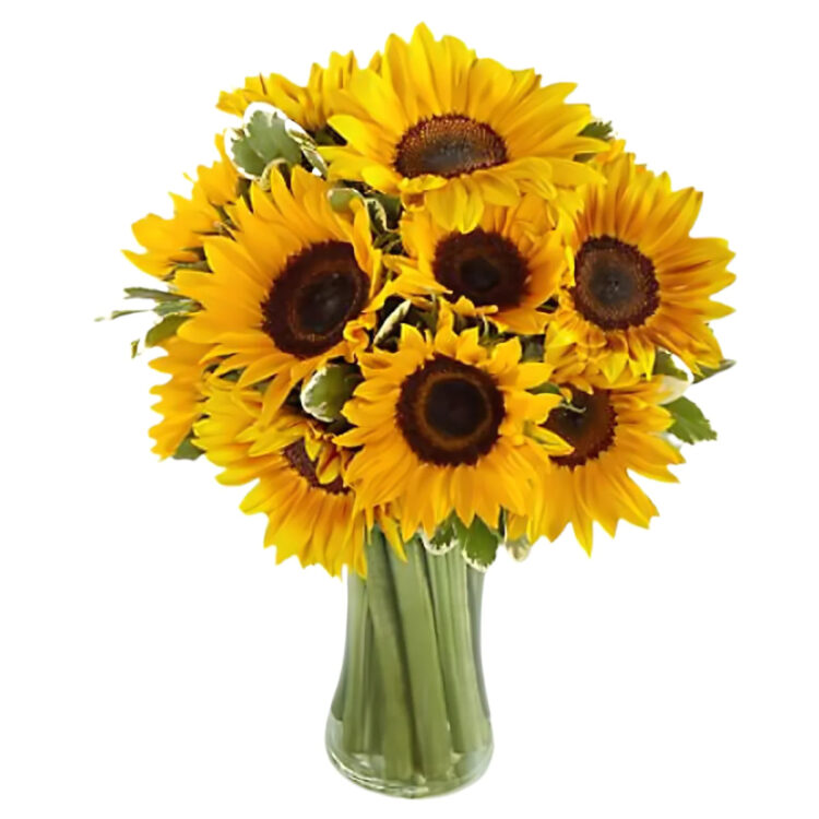 sunflower bouquet Flower Delivery Las Vegas NV