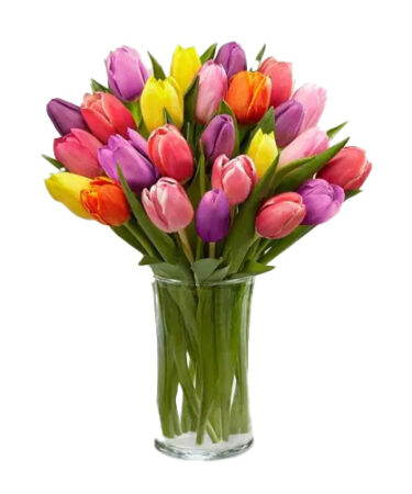 30 colorful tulips in a clear vase