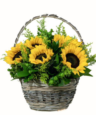Basket of sunflowers and mix greens