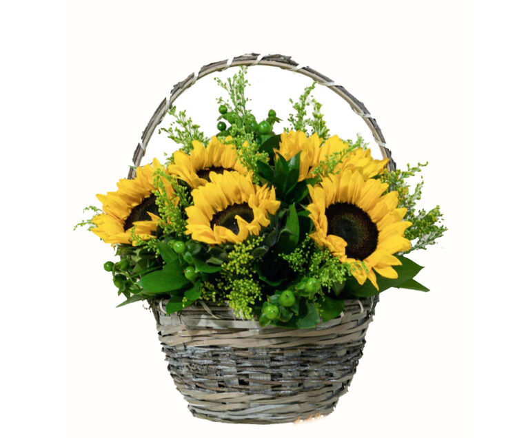 Basket of sunflowers and mix greens